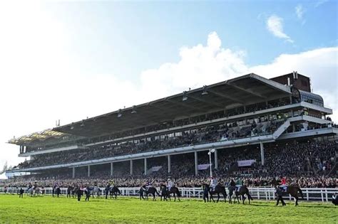 cheltenham race card 2023|Cheltenham Festival 2024 Racecards .